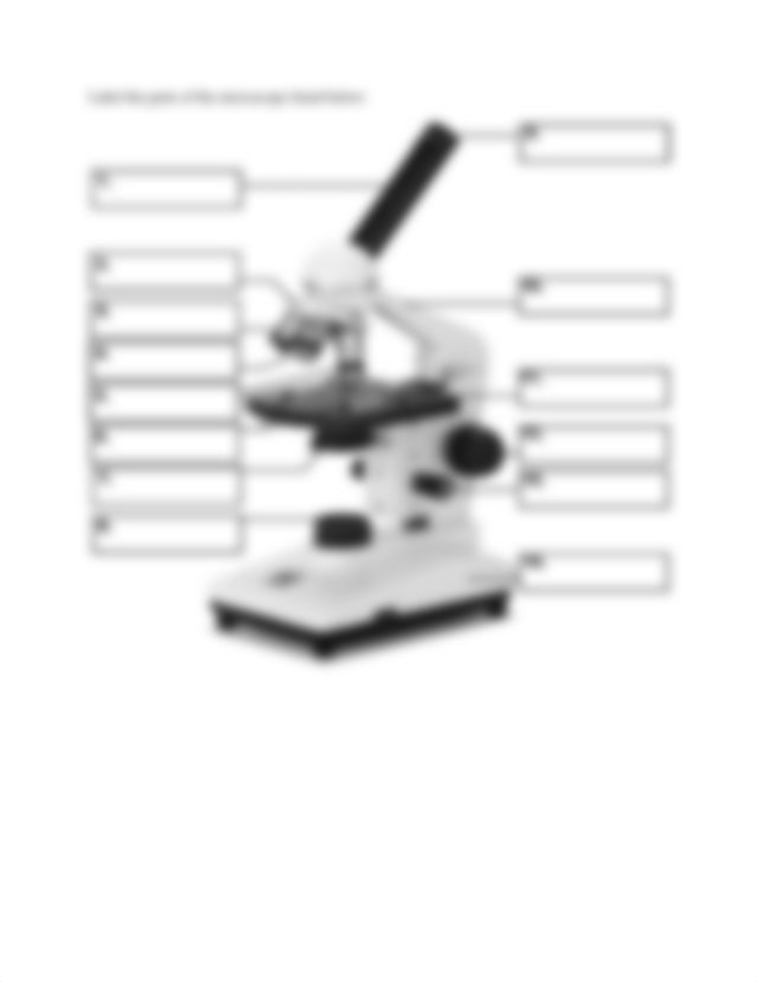 Lab 3 Microscopy Worksheet (online).pdf_dpk2jd8cjrm_page2