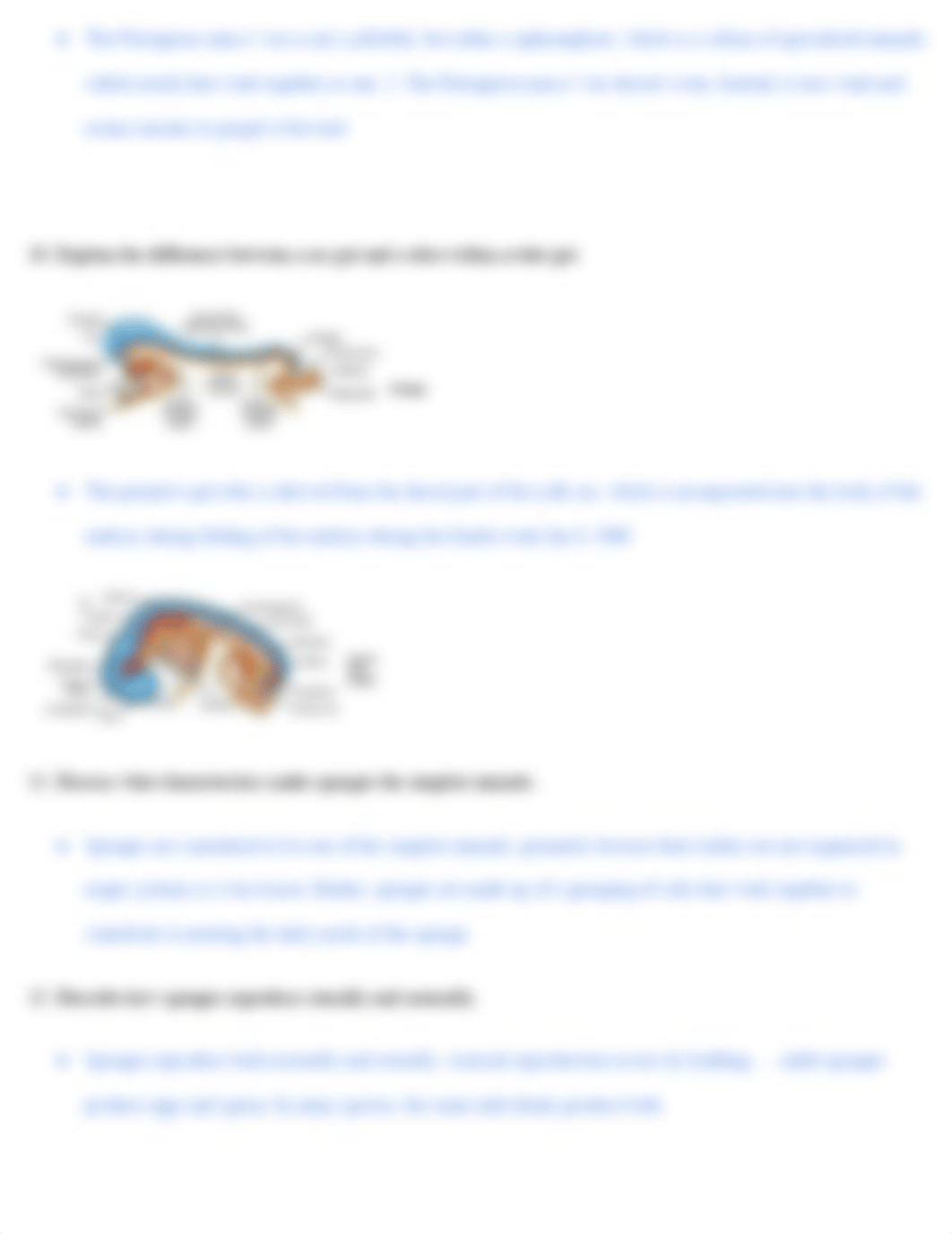 BIO 112 Ch. 28 Invertebrates.pdf_dpk2w6dhtj4_page3