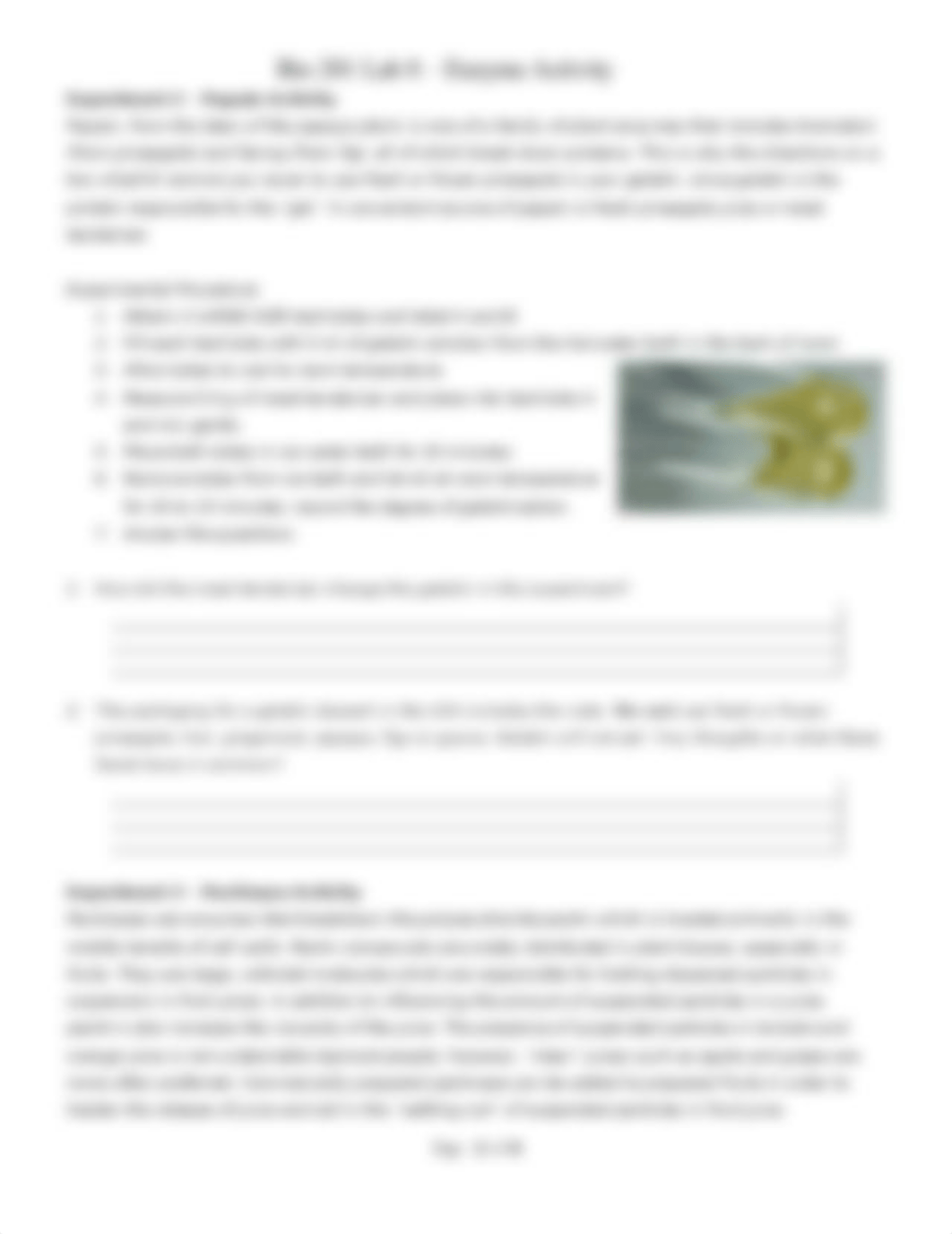 Lab 8 - Enzyme Activity.docx_dpkgpjmaim4_page2