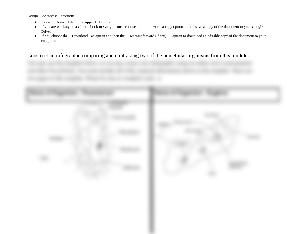 Bio Infographic.pdf_dpkhgvcrc54_page1