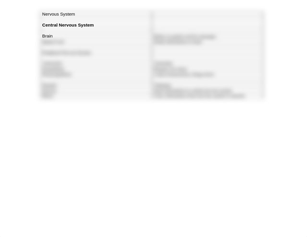 nervous-system-worksheets (2).docx_dpkjao6a7p7_page2