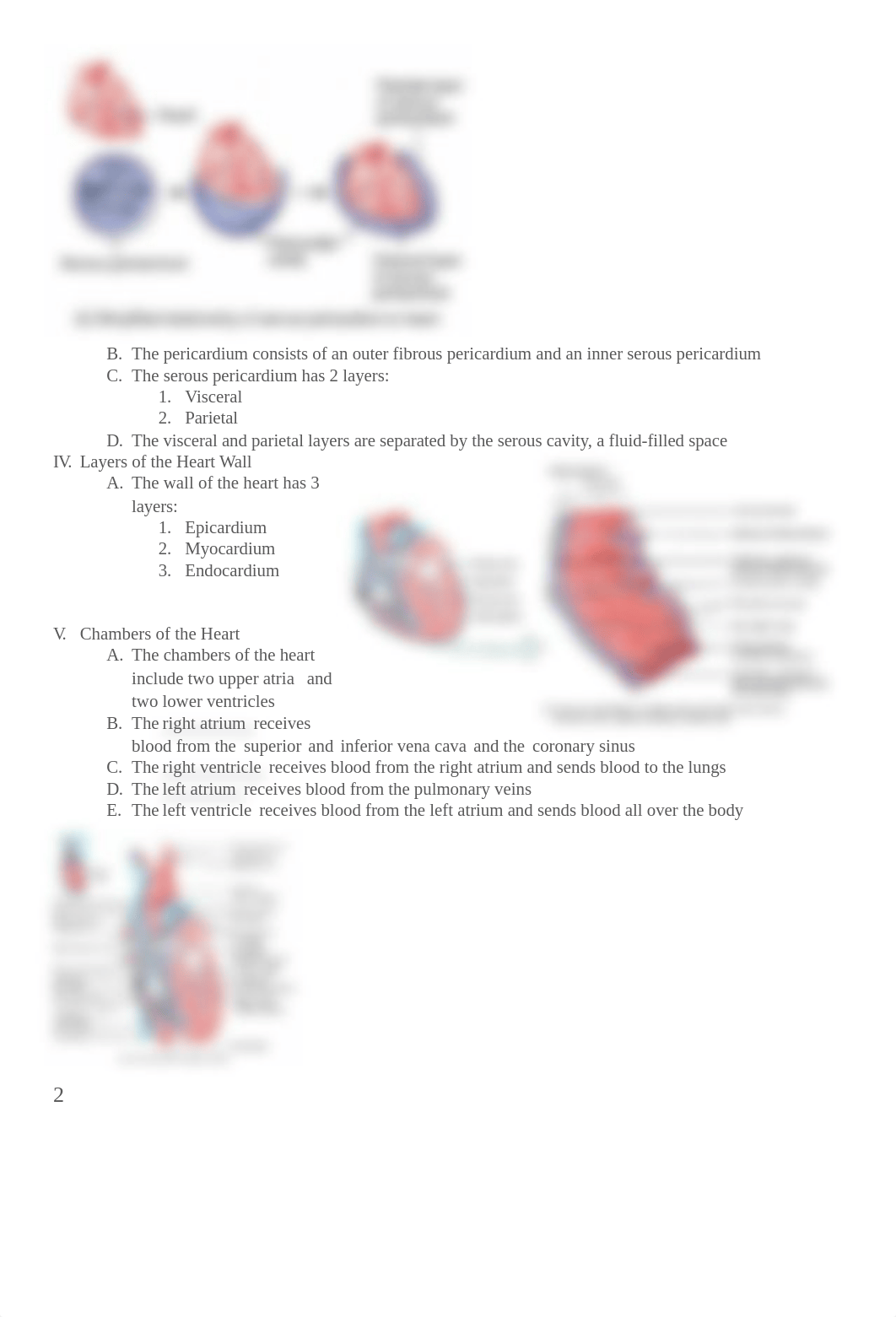 Chapter 20 powerpoint notes_dpkp3xefcot_page2