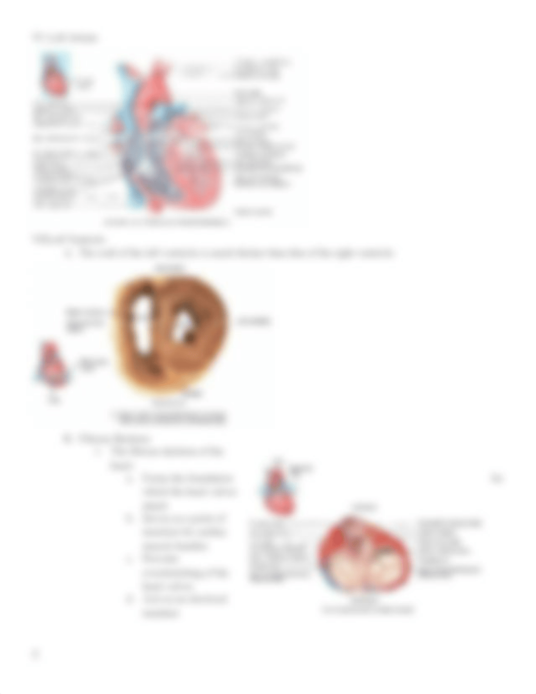 Chapter 20 powerpoint notes_dpkp3xefcot_page3