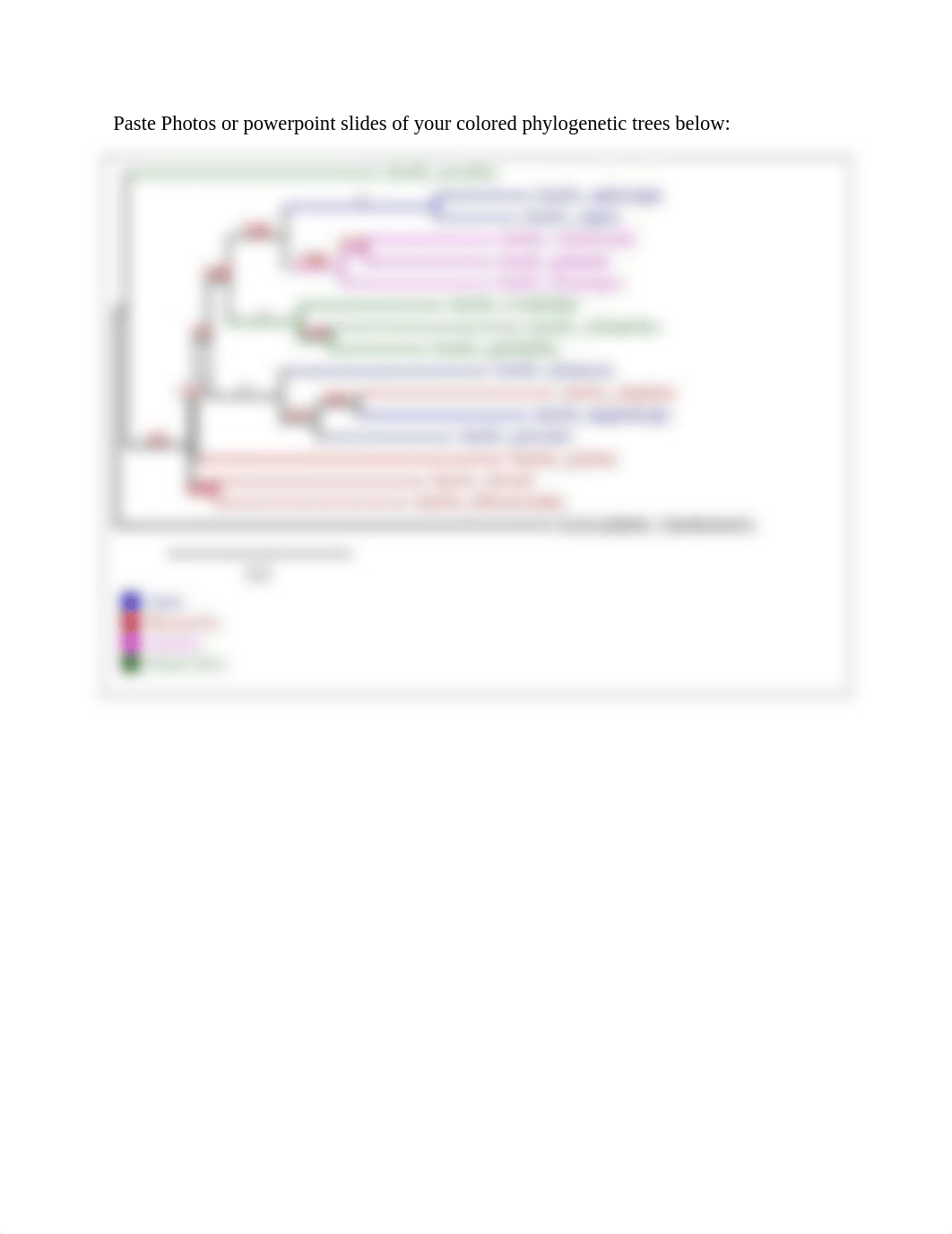 Analysis Questions With trees.docx_dpks9lsmviv_page1