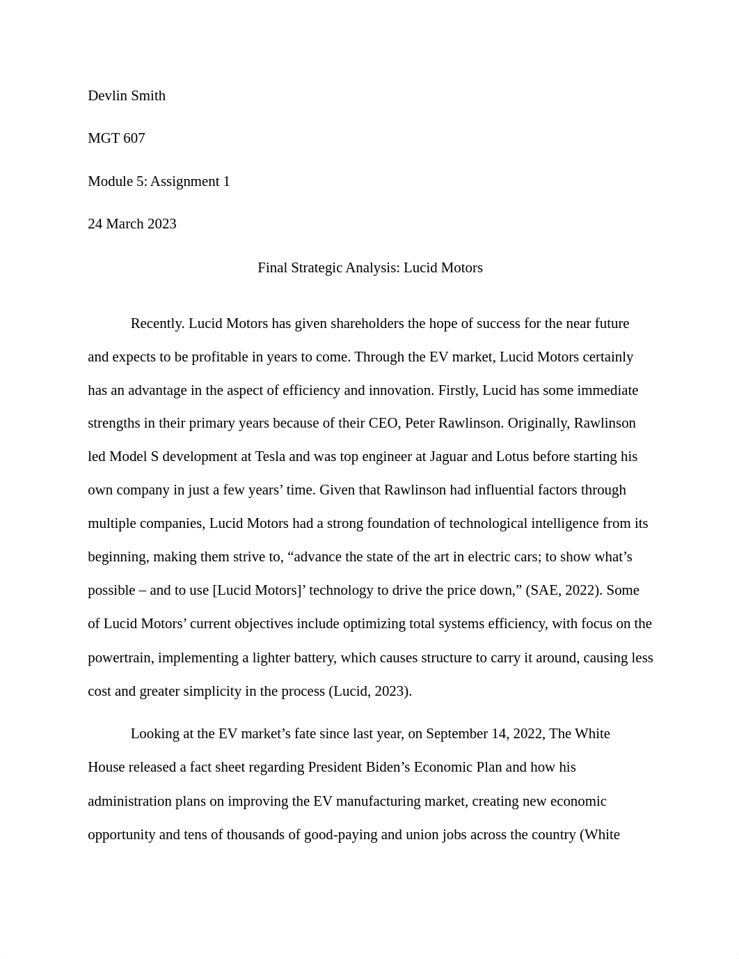 MGT 607 Final Paper.docx_dpktzat749u_page1