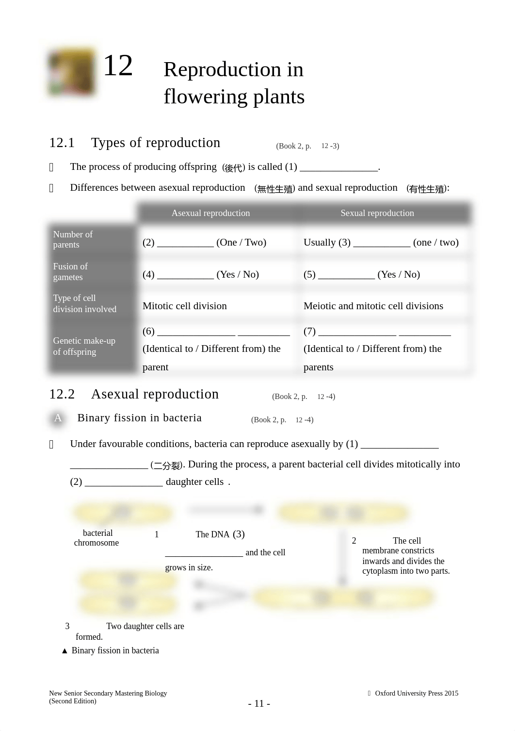 ws_ch12_e.doc.doc_dpl22isc7a2_page1