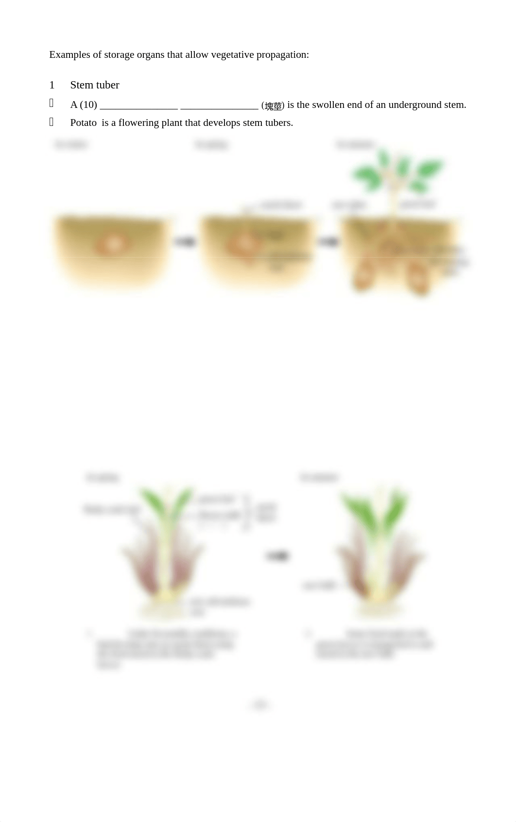 ws_ch12_e.doc.doc_dpl22isc7a2_page3