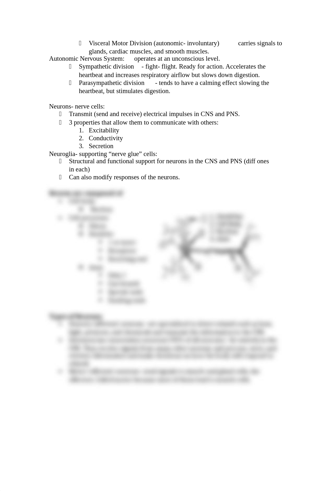 Anatomy Exam #3_dpl6bd9bblz_page2