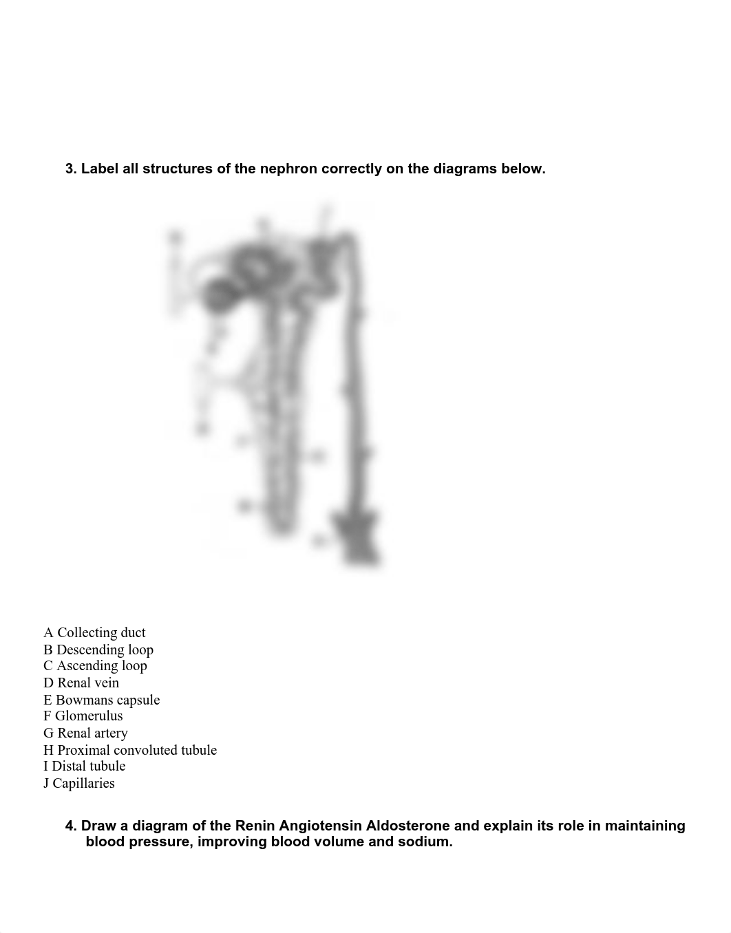 Renal Assessment Assignment el.pdf_dpl8qzprn69_page2