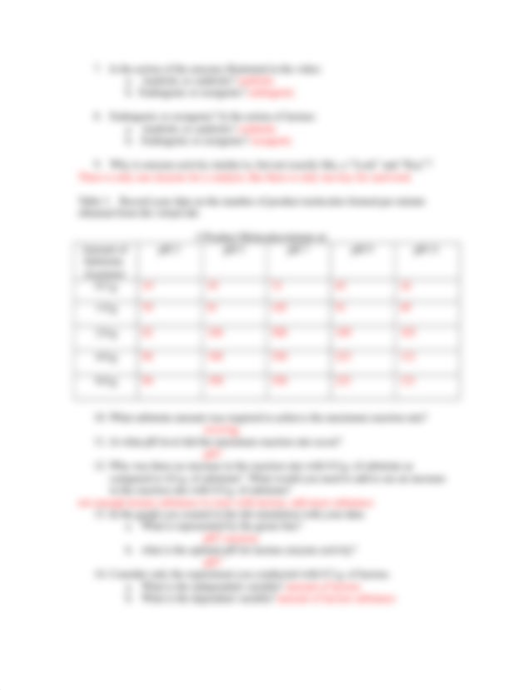 Enzyme Controlled Reactions Worksheet.doc_dpl964w6jsg_page2