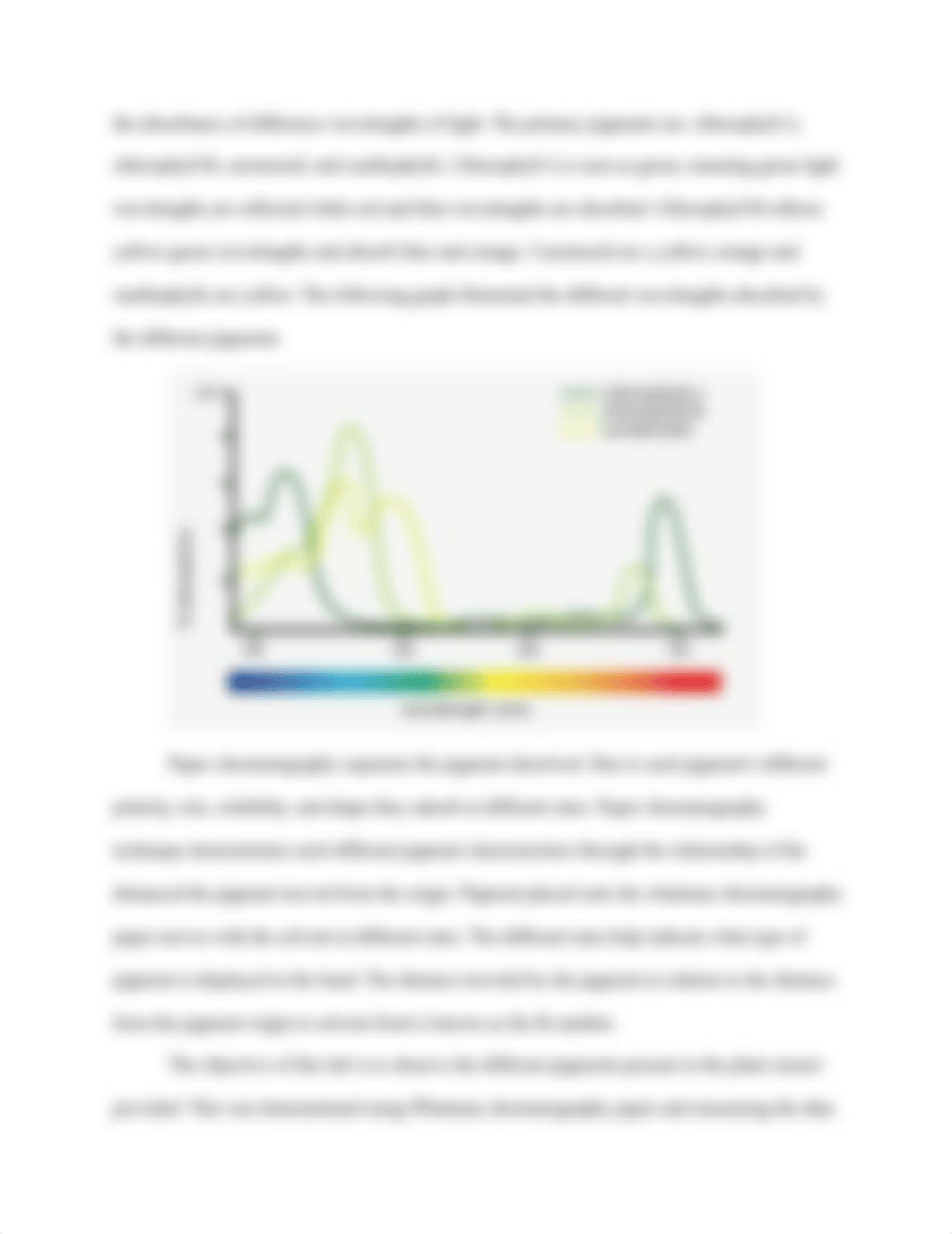 photosynthesis.docx_dplb3jxe1m3_page3