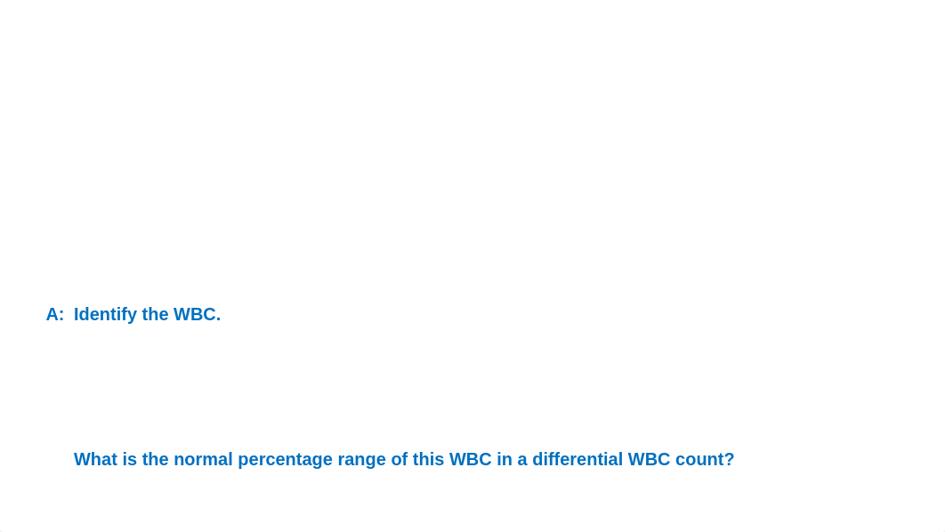 Blood Lab Assignment_Rosecharles (1).pptx_dplqs0i3joc_page5