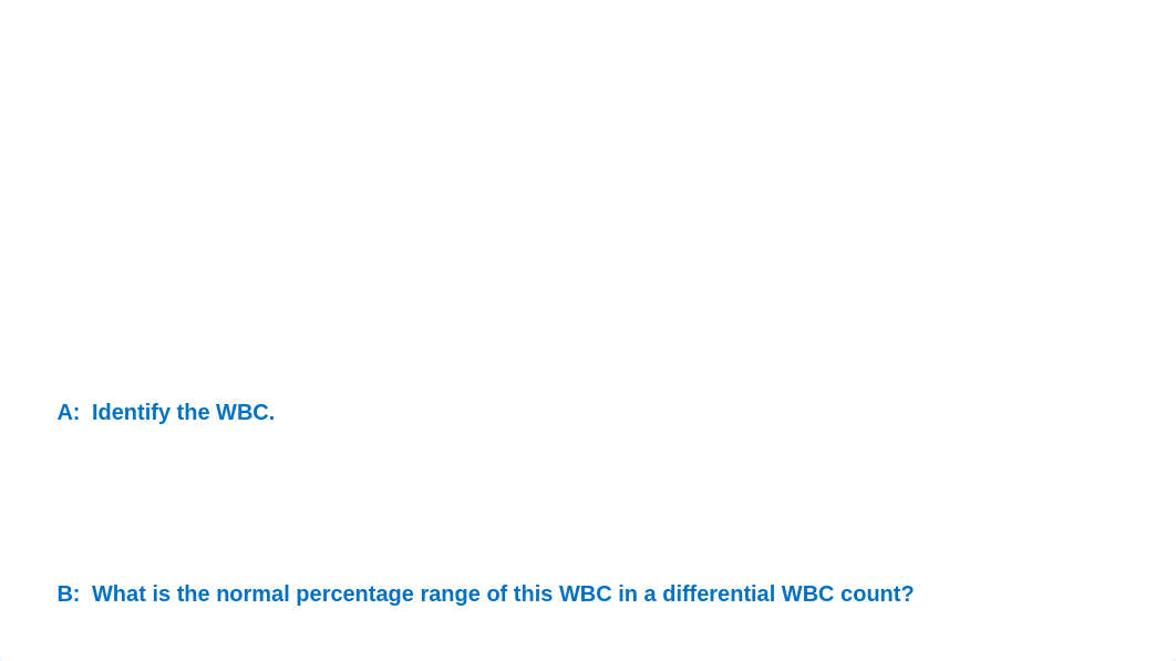 Blood Lab Assignment_Rosecharles (1).pptx_dplqs0i3joc_page3