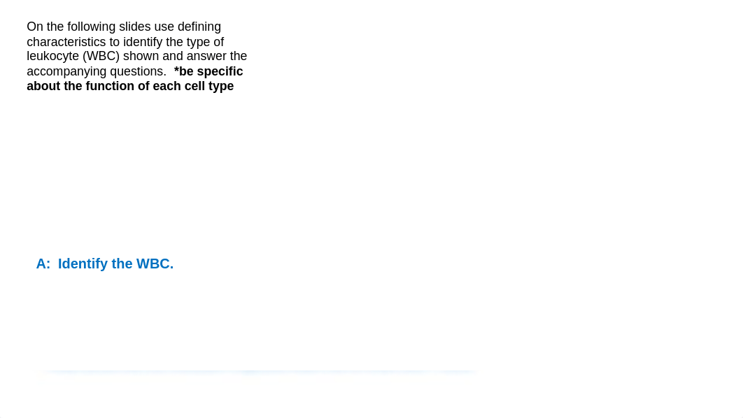 Blood Lab Assignment_Rosecharles (1).pptx_dplqs0i3joc_page2