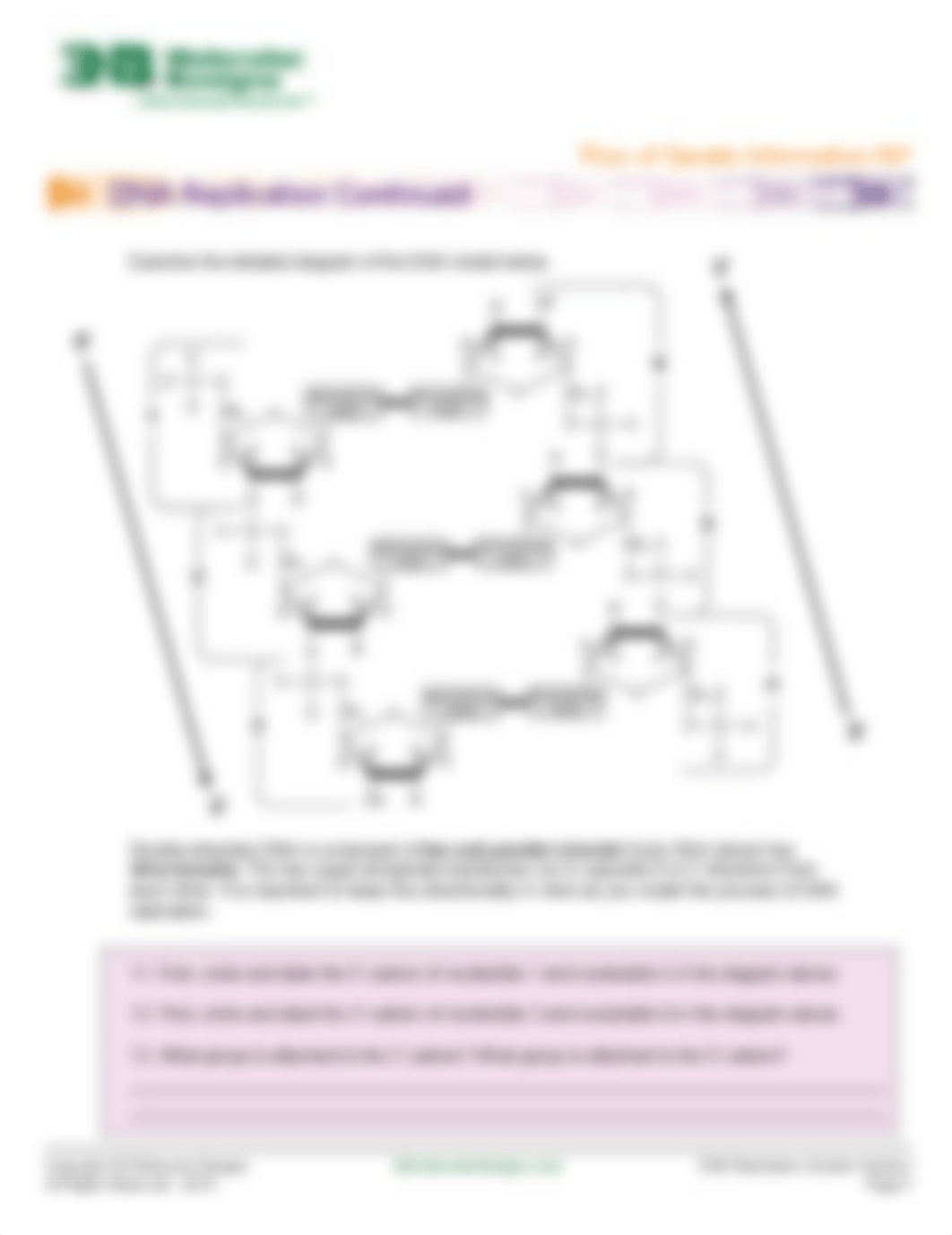 dna replication.pdf_dpltyyeodkp_page4