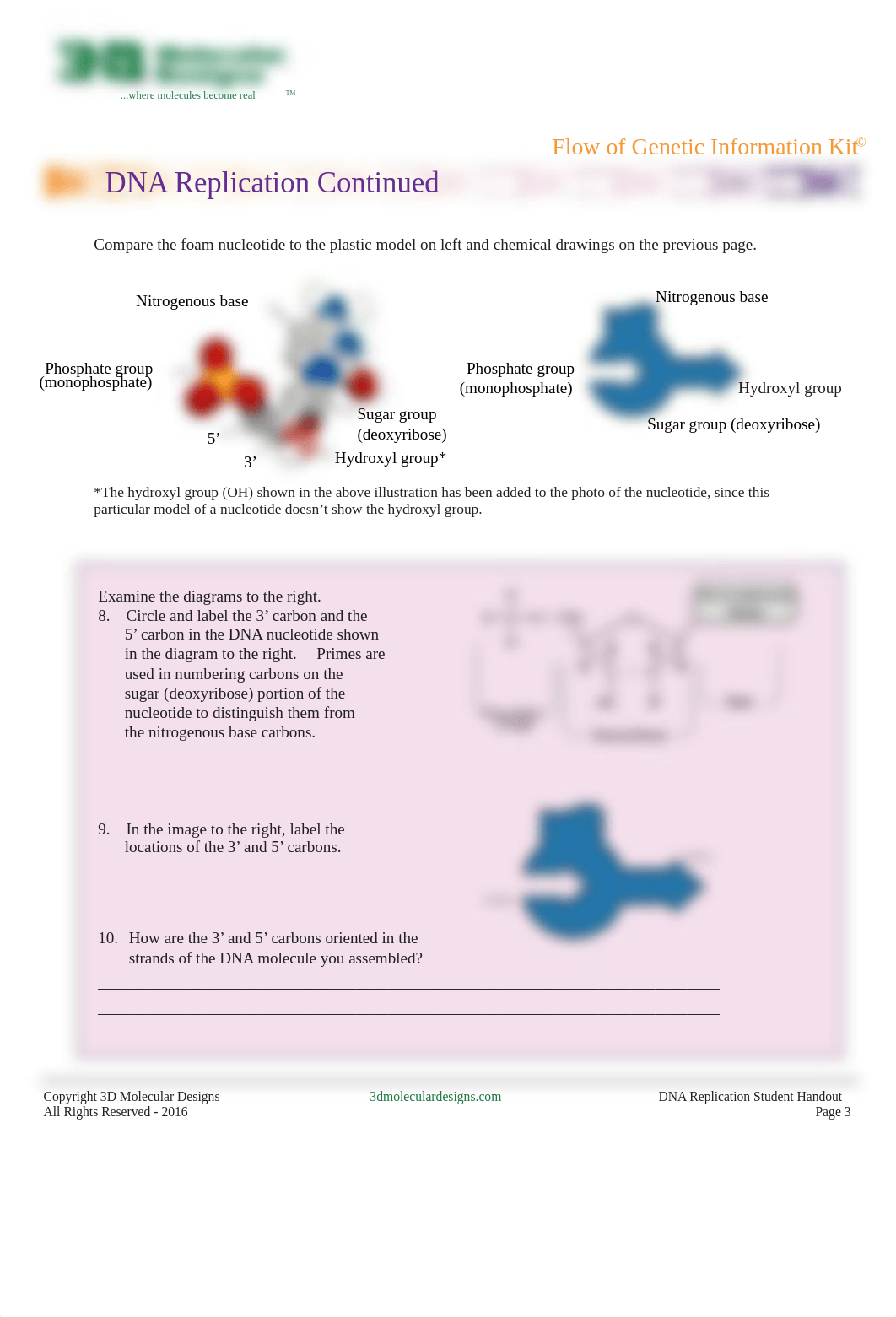 dna replication.pdf_dpltyyeodkp_page3