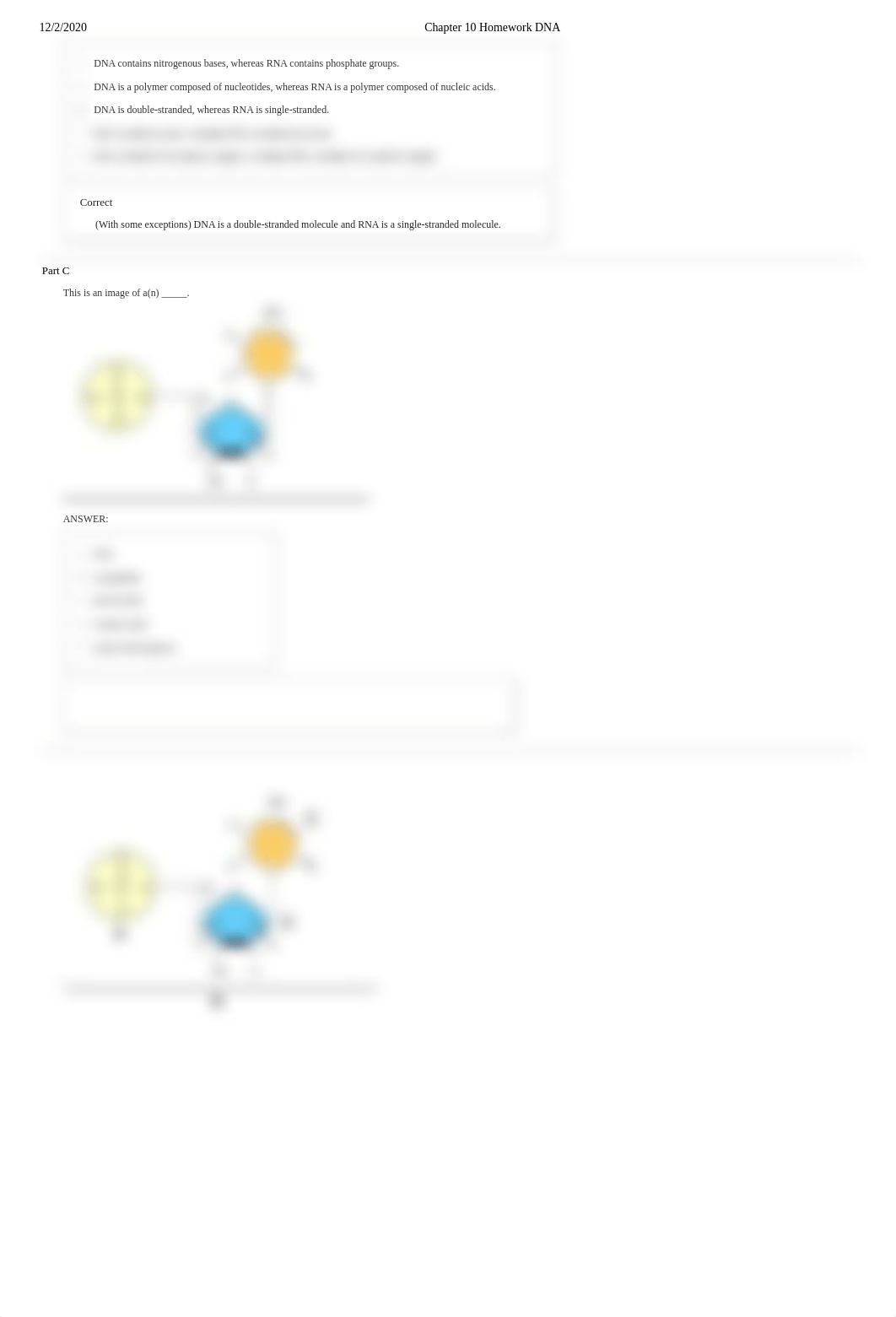 Chapter 10 Homework DNA.pdf_dplx5l4tr56_page4