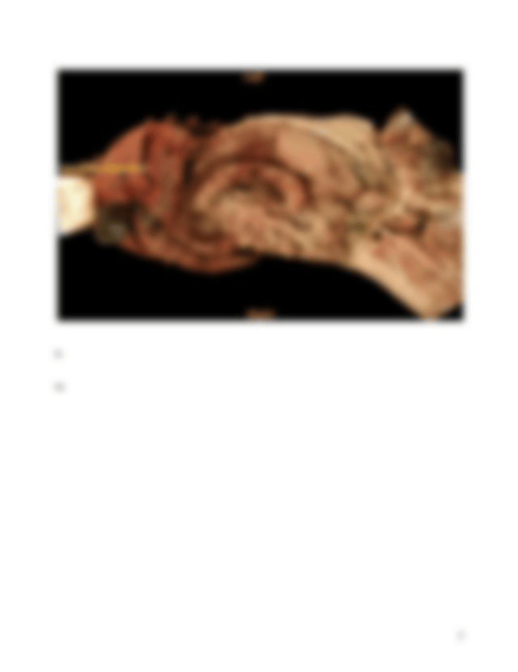 ASSN 12.3 VIRTUAL CANINE ANATOMY .docx_dpmaxfx1n0j_page5