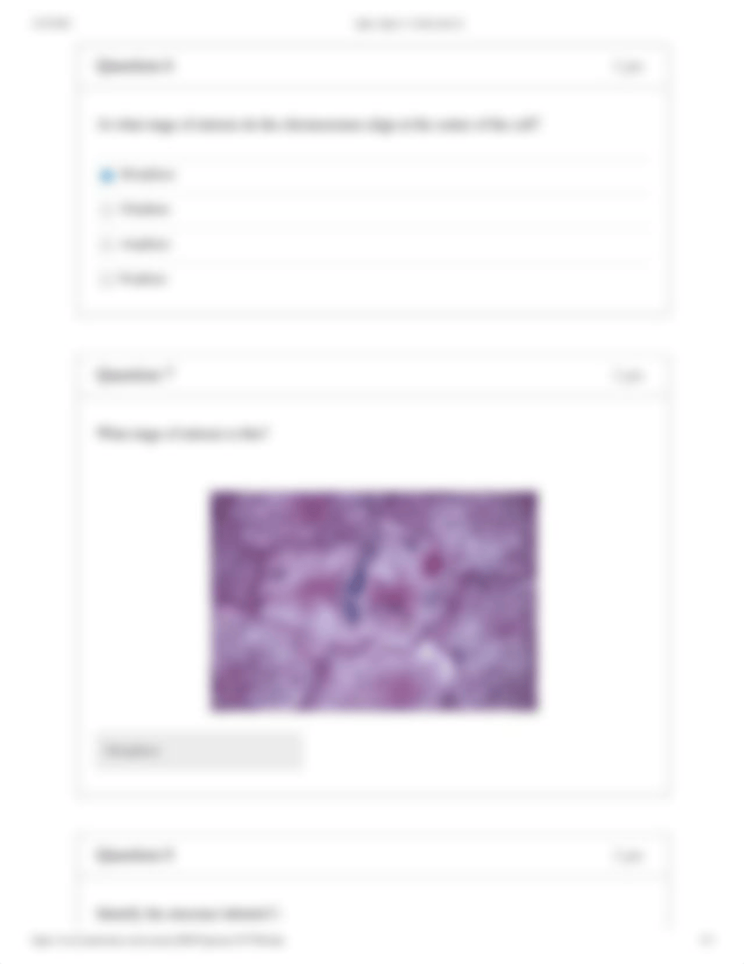 Quiz_ Quiz 3_ Cells (Lab 2).pdf_dpmla0zsq1p_page3