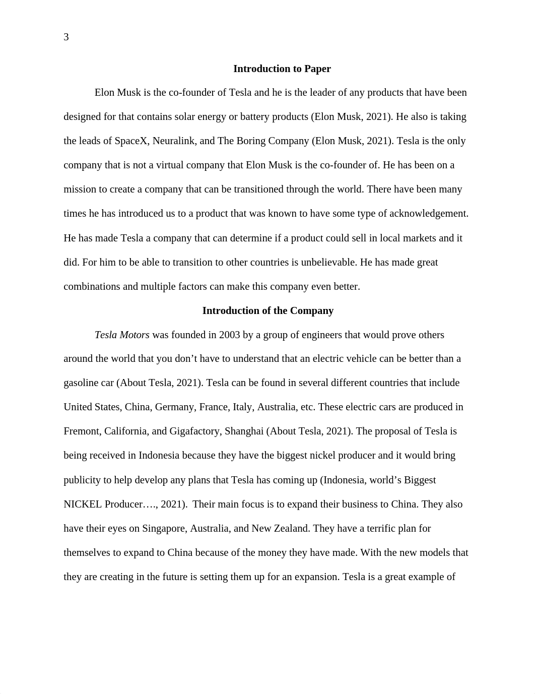 The International Scope of Tesla.docx_dpmm4abgwh0_page3