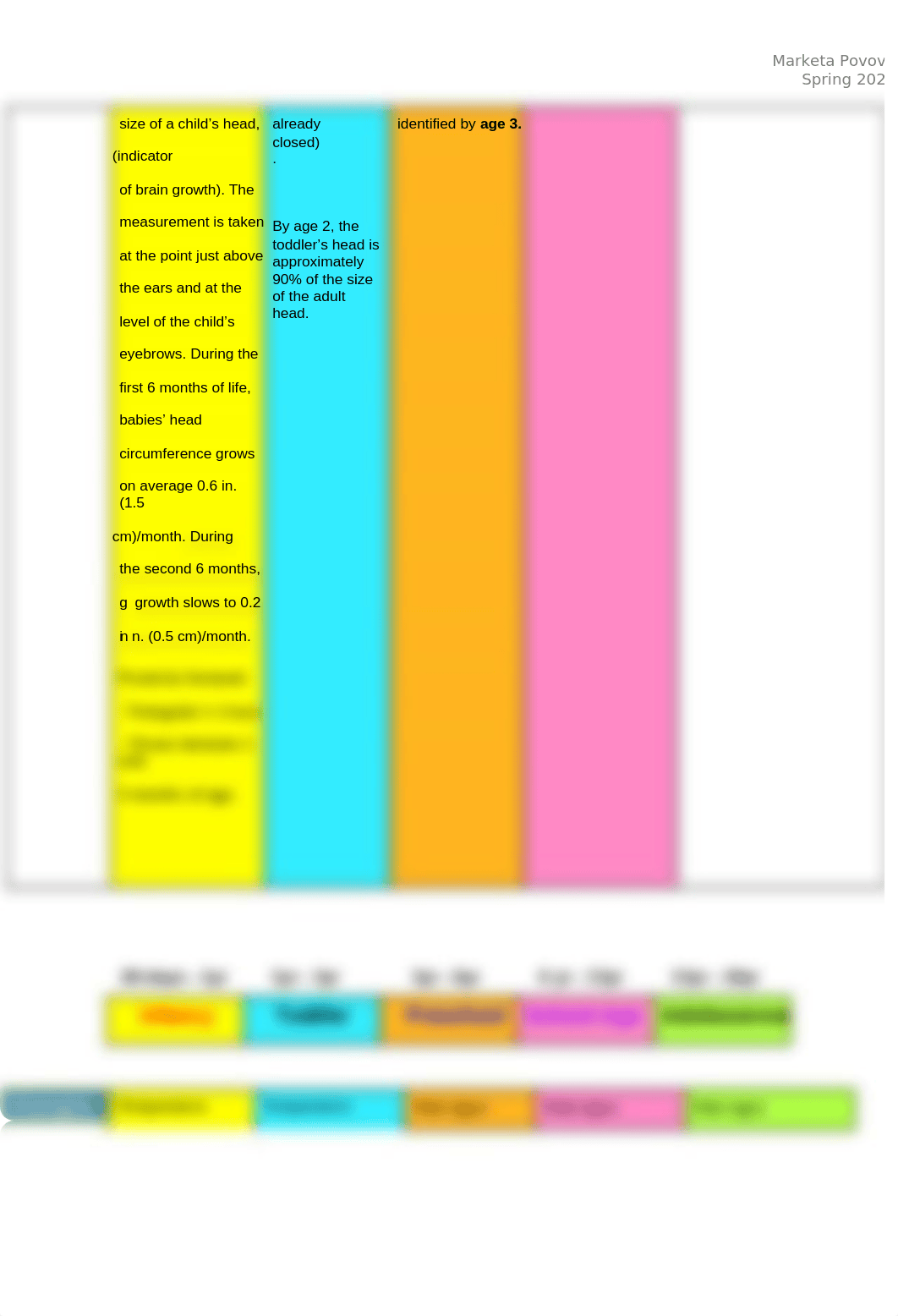 Development Growth Chart Povova.docx_dpmp18f4pyg_page4