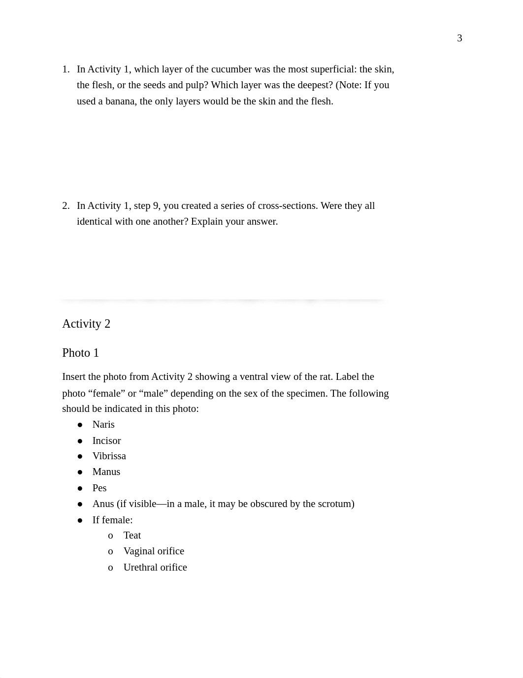 Rat Lab.docx_dpmp45ef2yr_page4