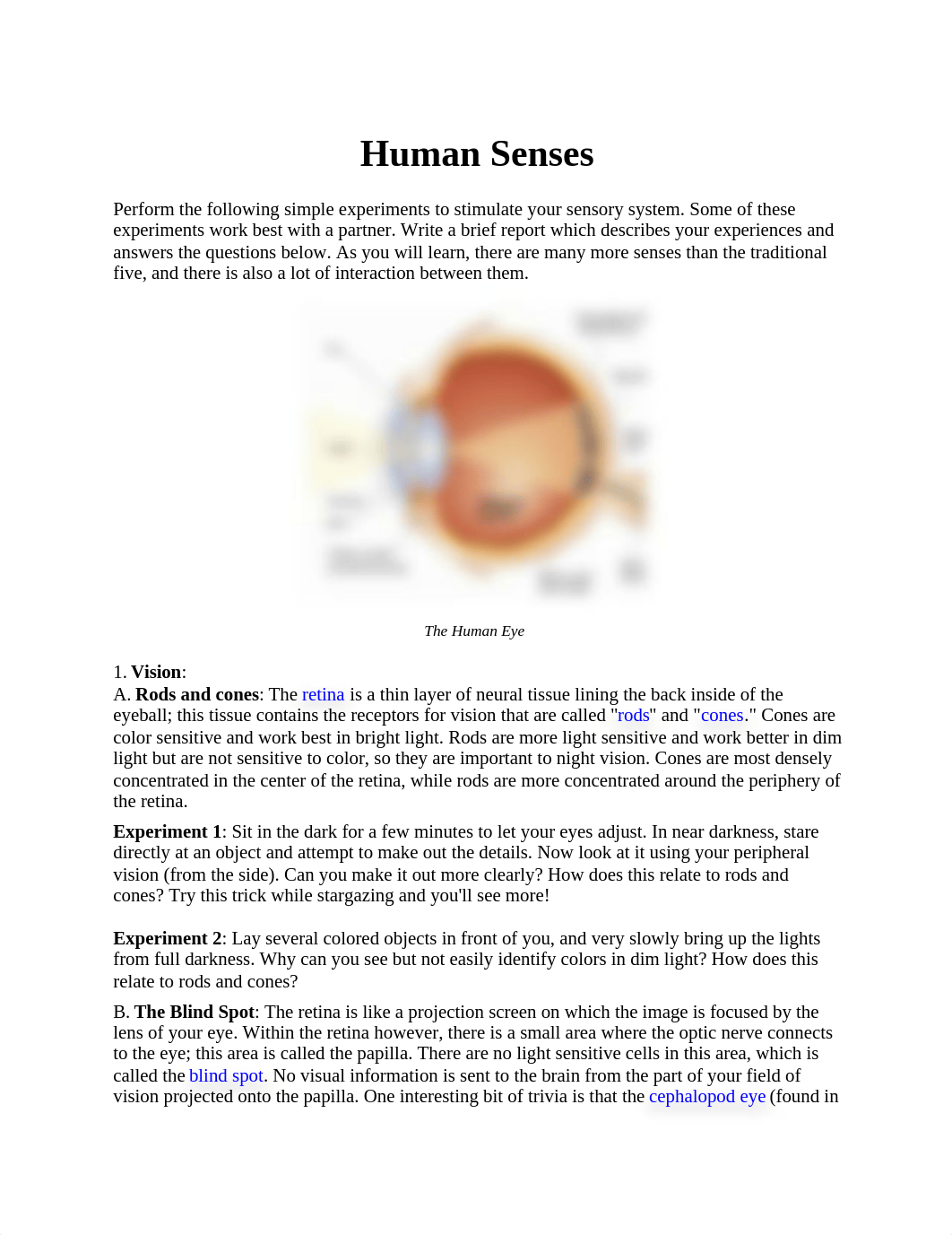 Human Senses Lab.docx_dpmpf1ng9bi_page1