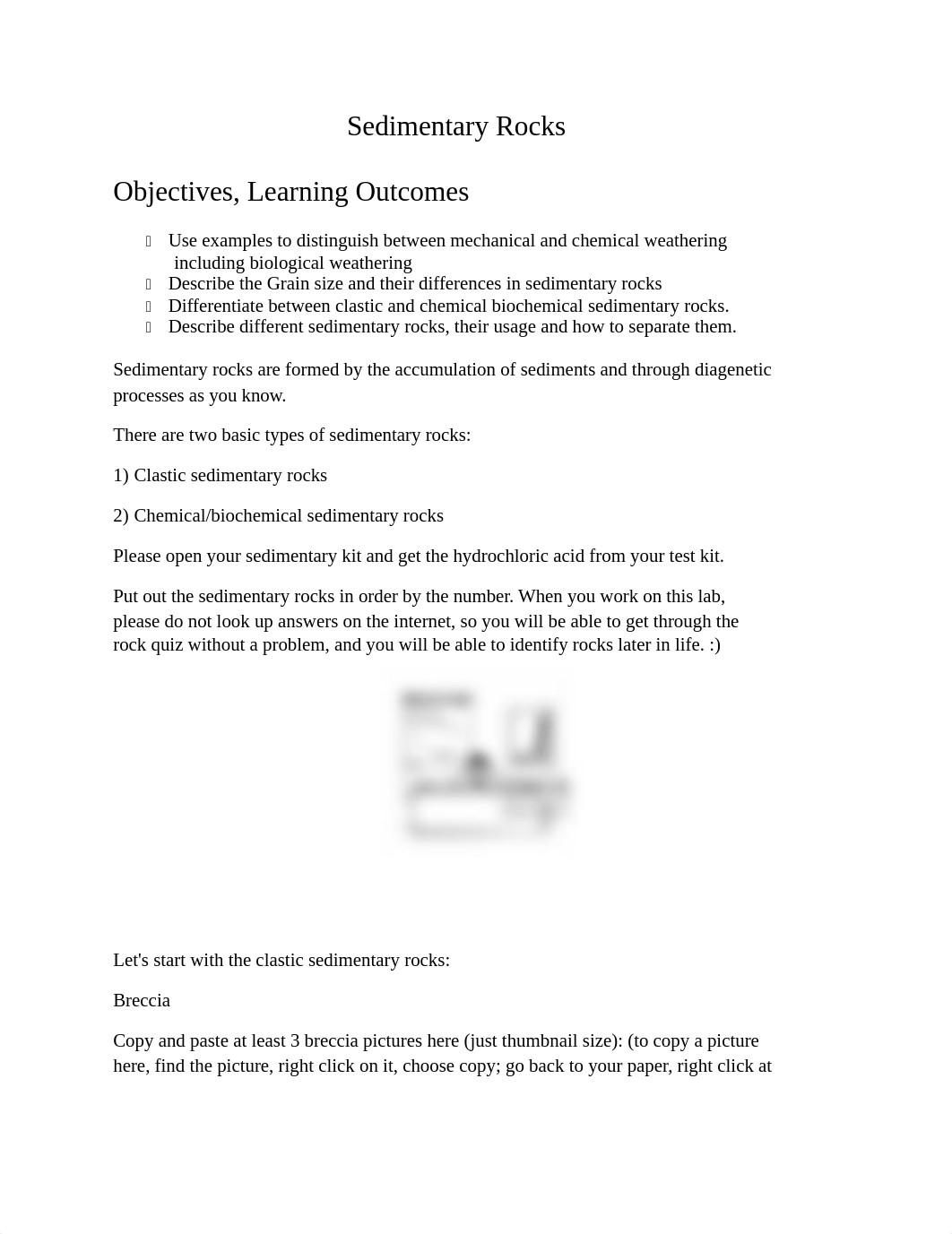 Sedimentary rock lab (1).docx_dpn9wtbad1o_page1