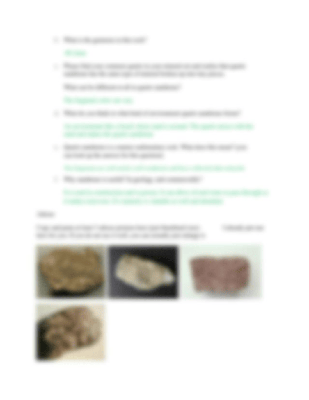 Sedimentary rock lab (1).docx_dpn9wtbad1o_page4