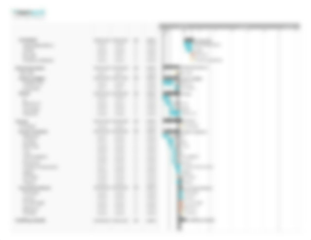 Gantt timeline waterfall.pdf_dpn9y087idb_page2