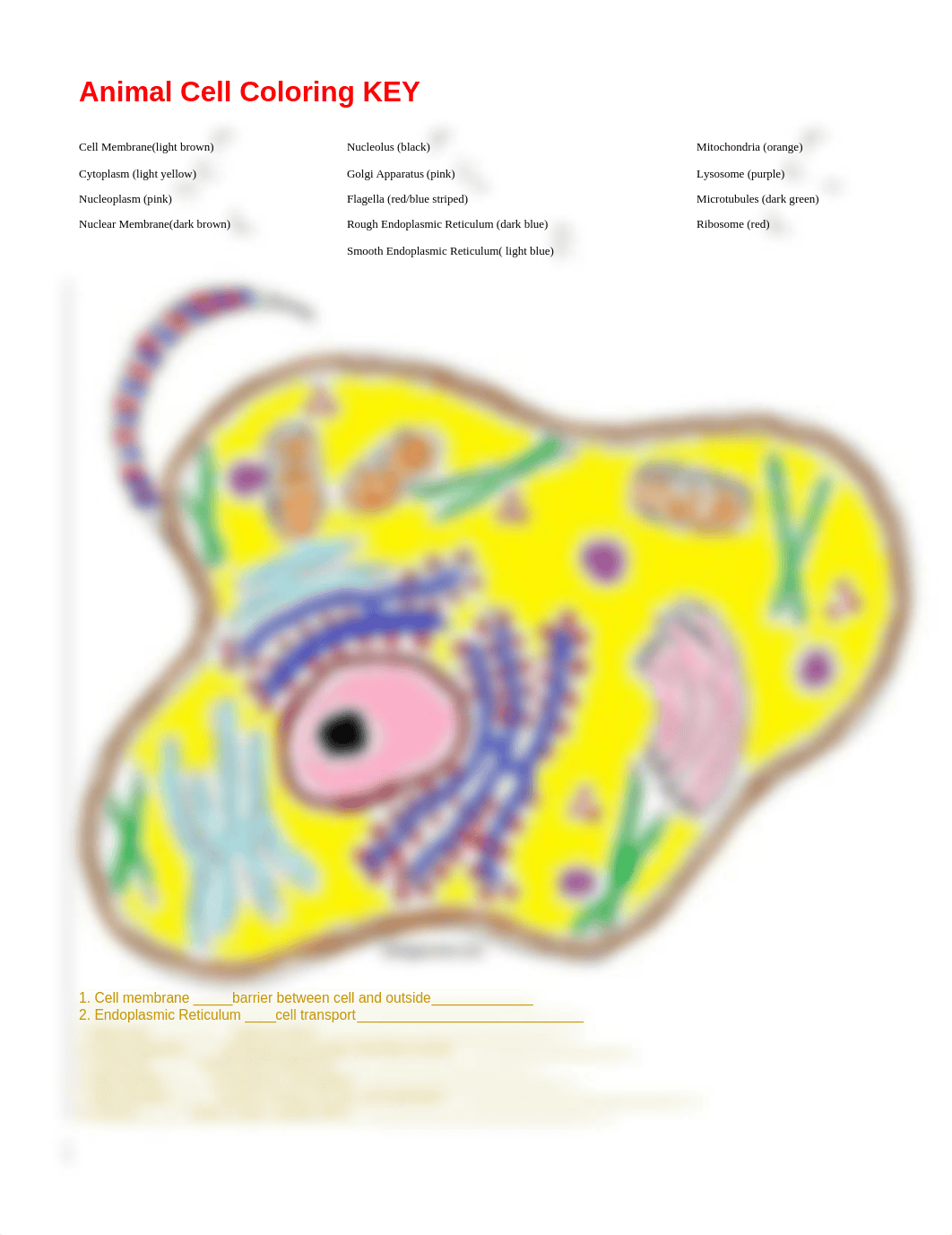 Animal Cell Coloring KEY.docx_dpnd9t3ksow_page1