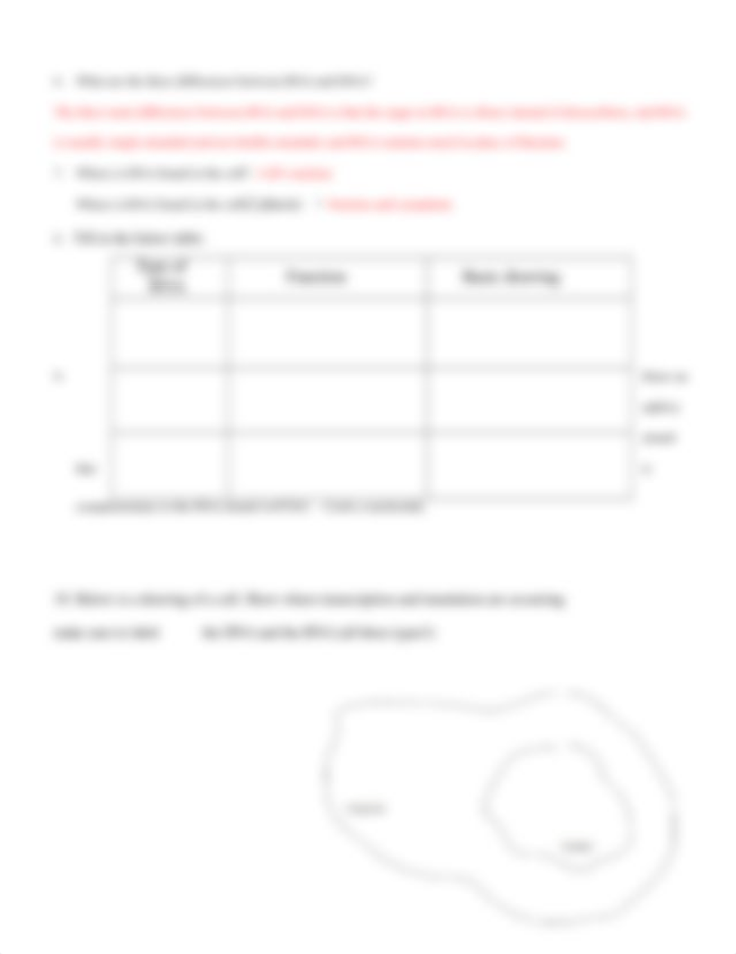 Transcription and translation practice worksheet.doc_dpnqikqu5fh_page2