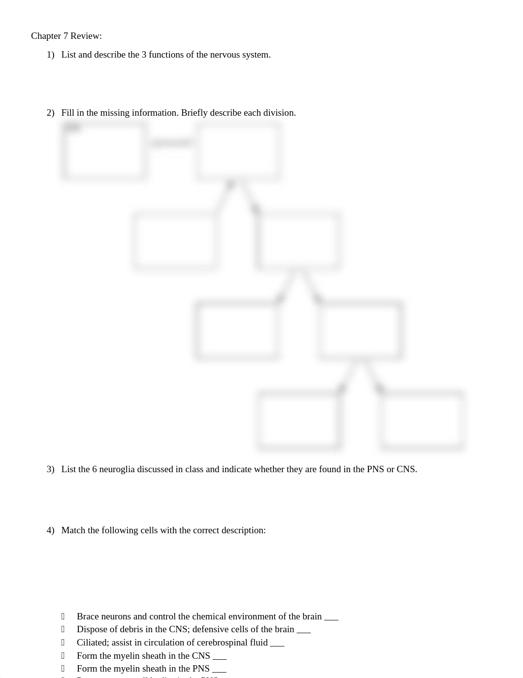 BIOL2404 - Chapter 7 Nervous Review.pdf_dpns9rr97i3_page1