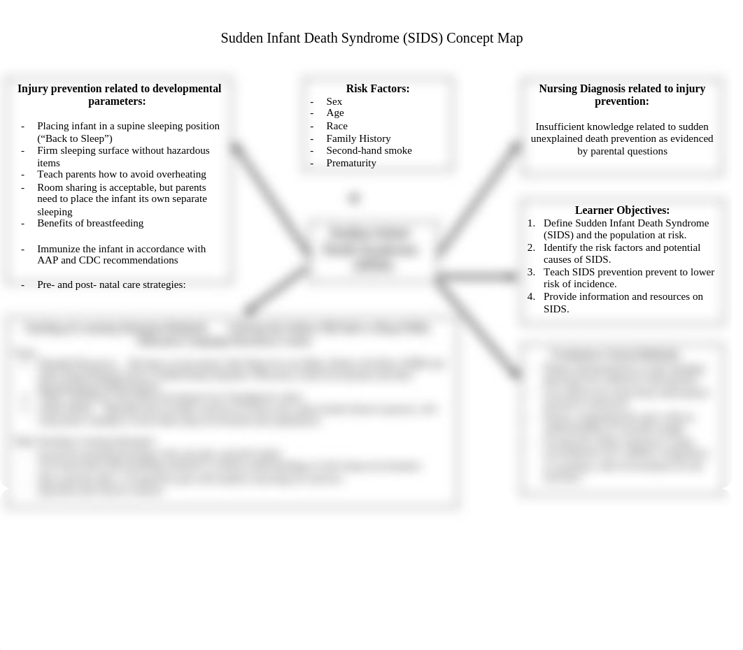 SIDS Concept Map T  L Paper.docx_dpo3owjqdyt_page1