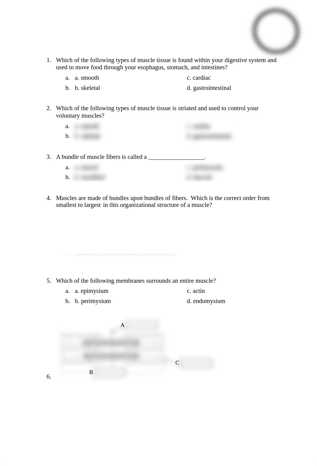 Muscle Exam.docx_dpo48cq34rj_page1