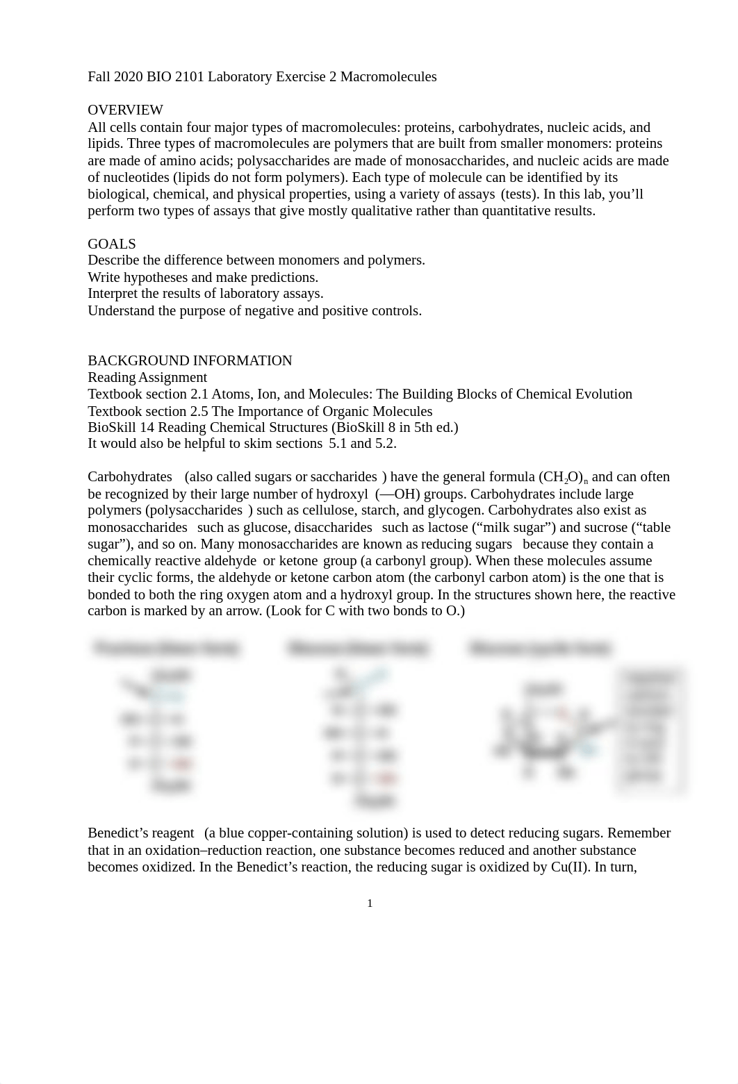 2. Macromolecules handout.docx_dpo7ysc1p42_page1