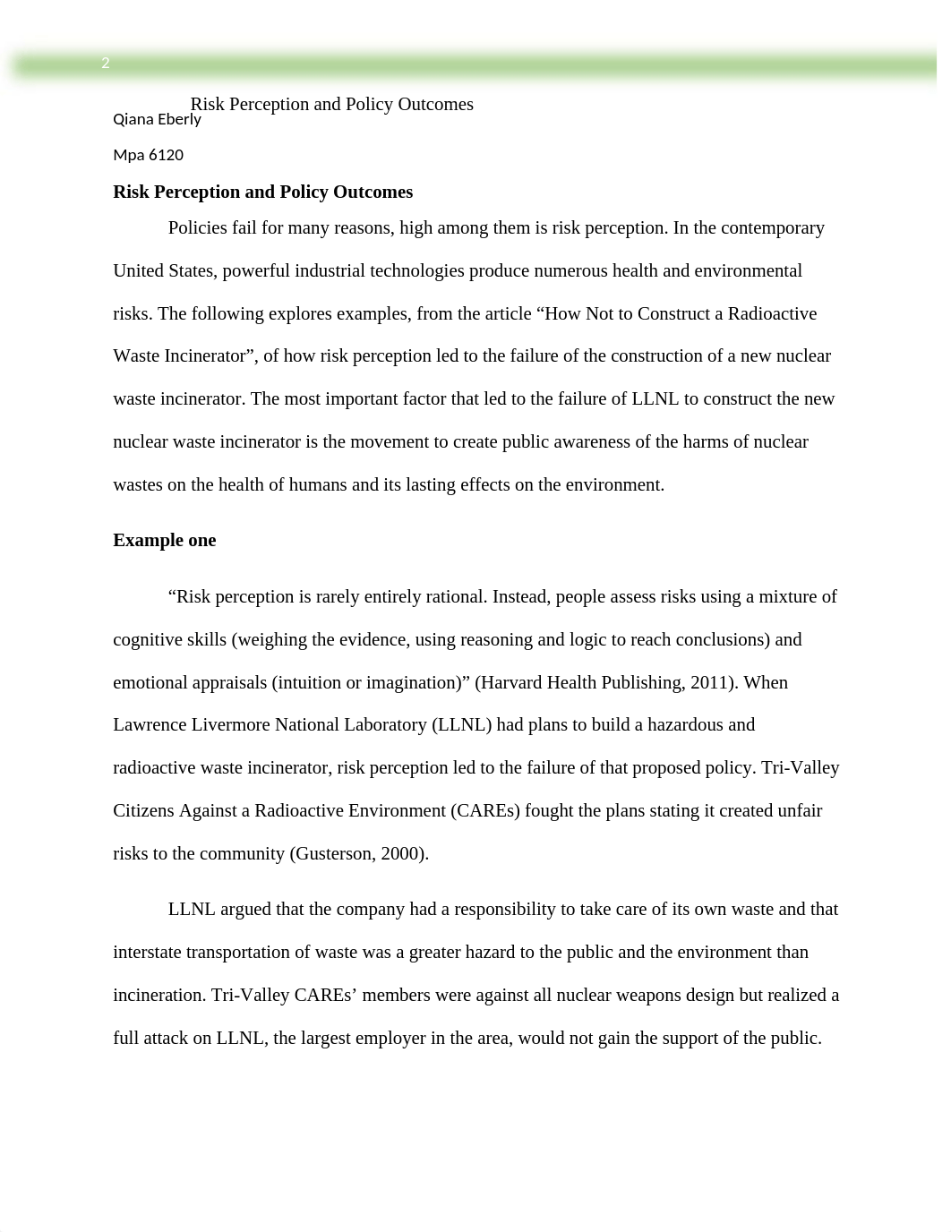 risk perception paper.docx_dpoczmxibp0_page2