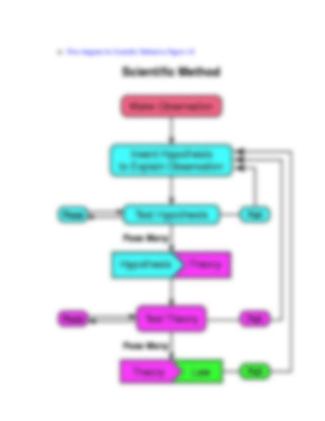 Review Sheet for Class Exam bio.doc_dpoebxvg63v_page3