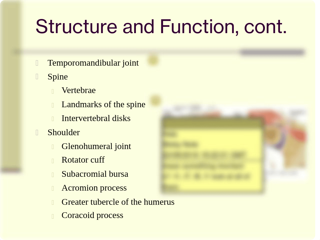 chap22.ppt-Jarvis_musculoskeletal_dpoiommpk0e_page3