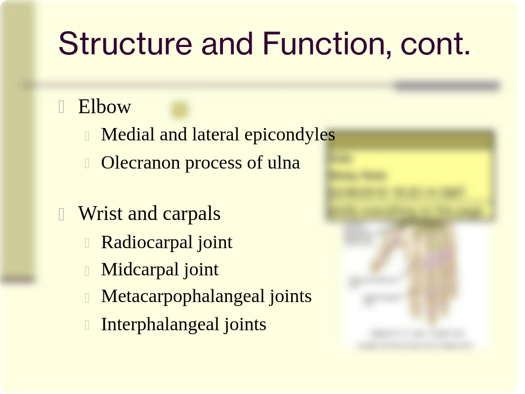 chap22.ppt-Jarvis_musculoskeletal_dpoiommpk0e_page4