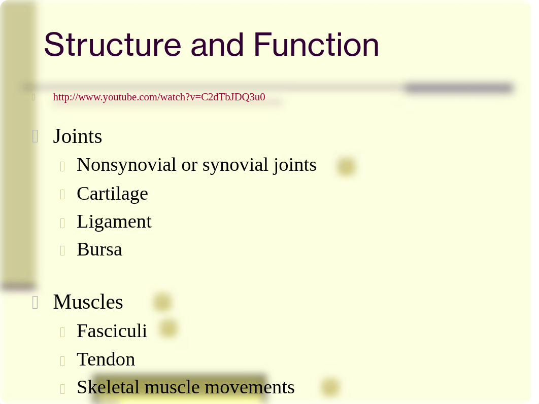 chap22.ppt-Jarvis_musculoskeletal_dpoiommpk0e_page2