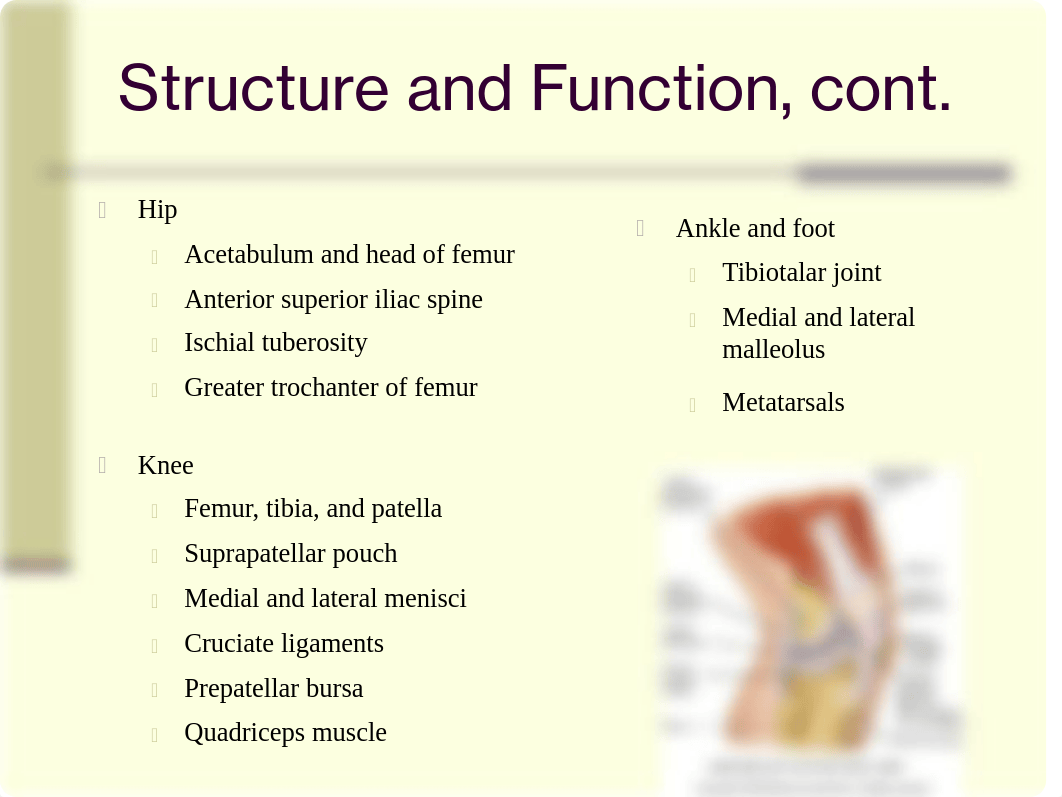 chap22.ppt-Jarvis_musculoskeletal_dpoiommpk0e_page5