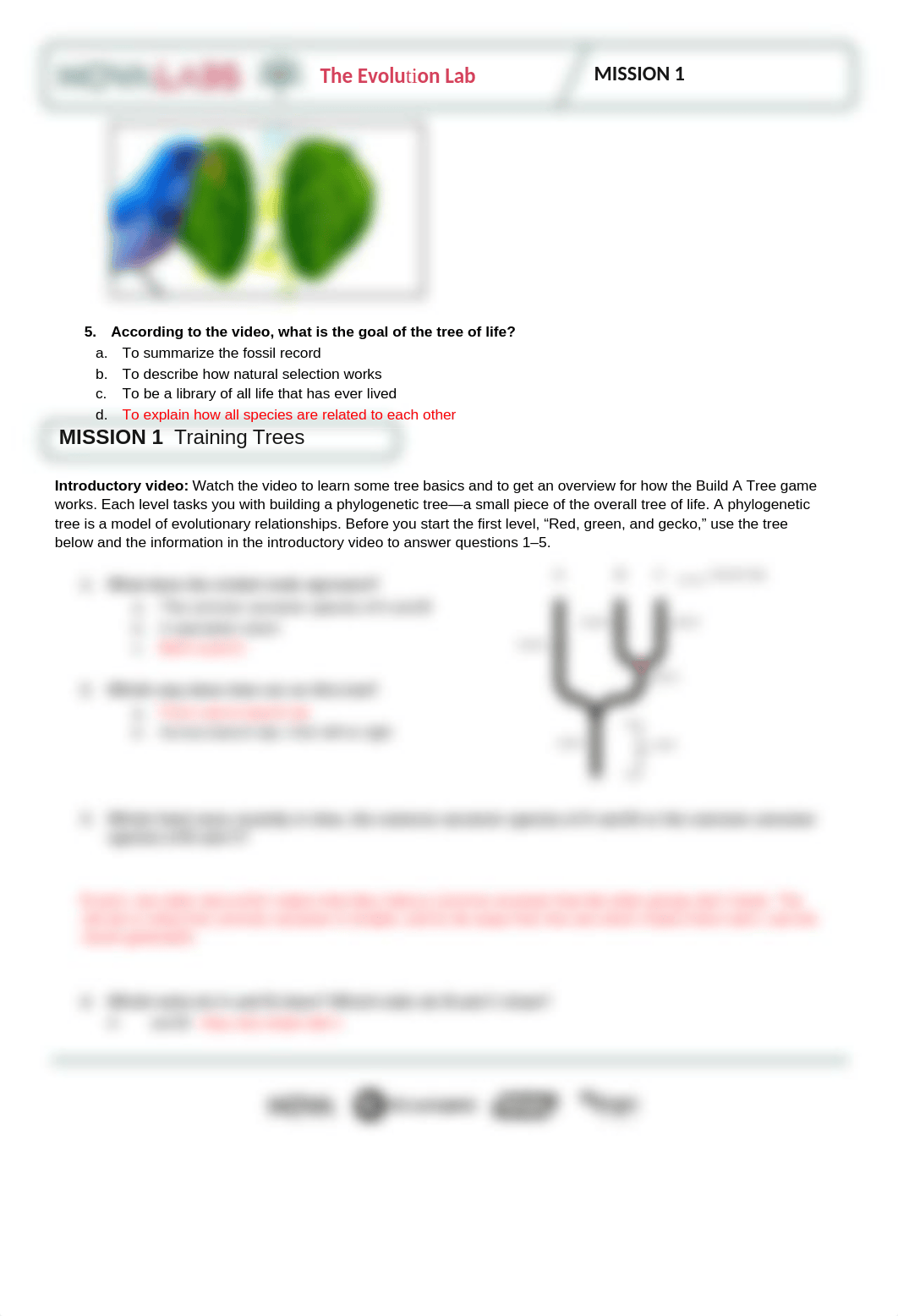 homework bio lab nova.docx_dpoiqrovk0z_page2