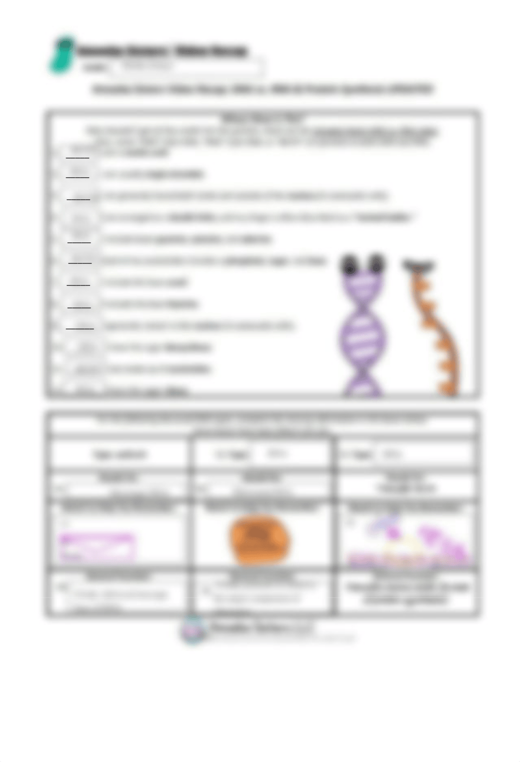 Kami Export - Amoeba_Sisters_DNA_Vs_RNA_and_Protein_Synthesis_Worksheet.pdf_dpojhlvpyd7_page1