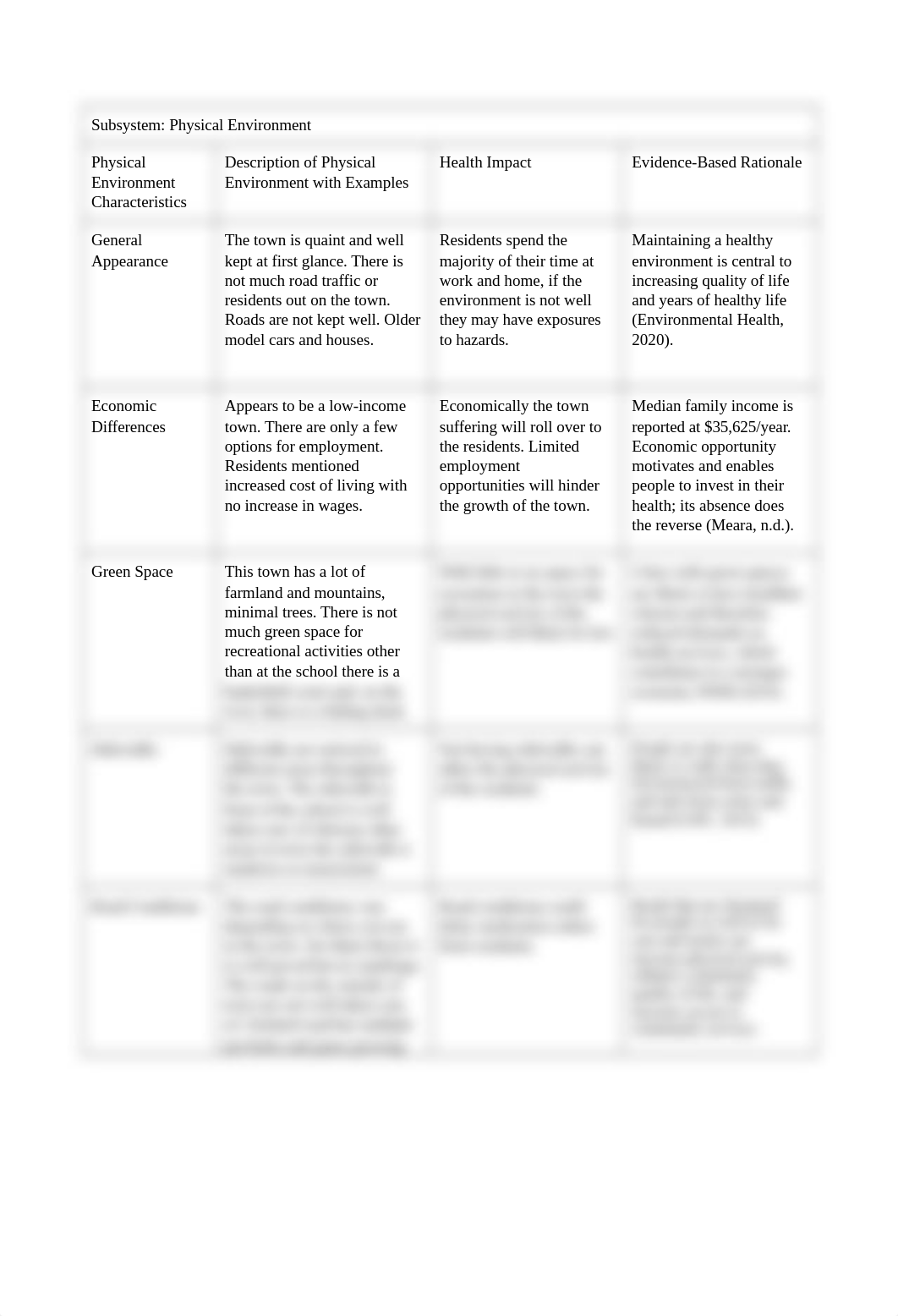 Physical Environment Assessment.docx_dpor2w8p5ll_page1