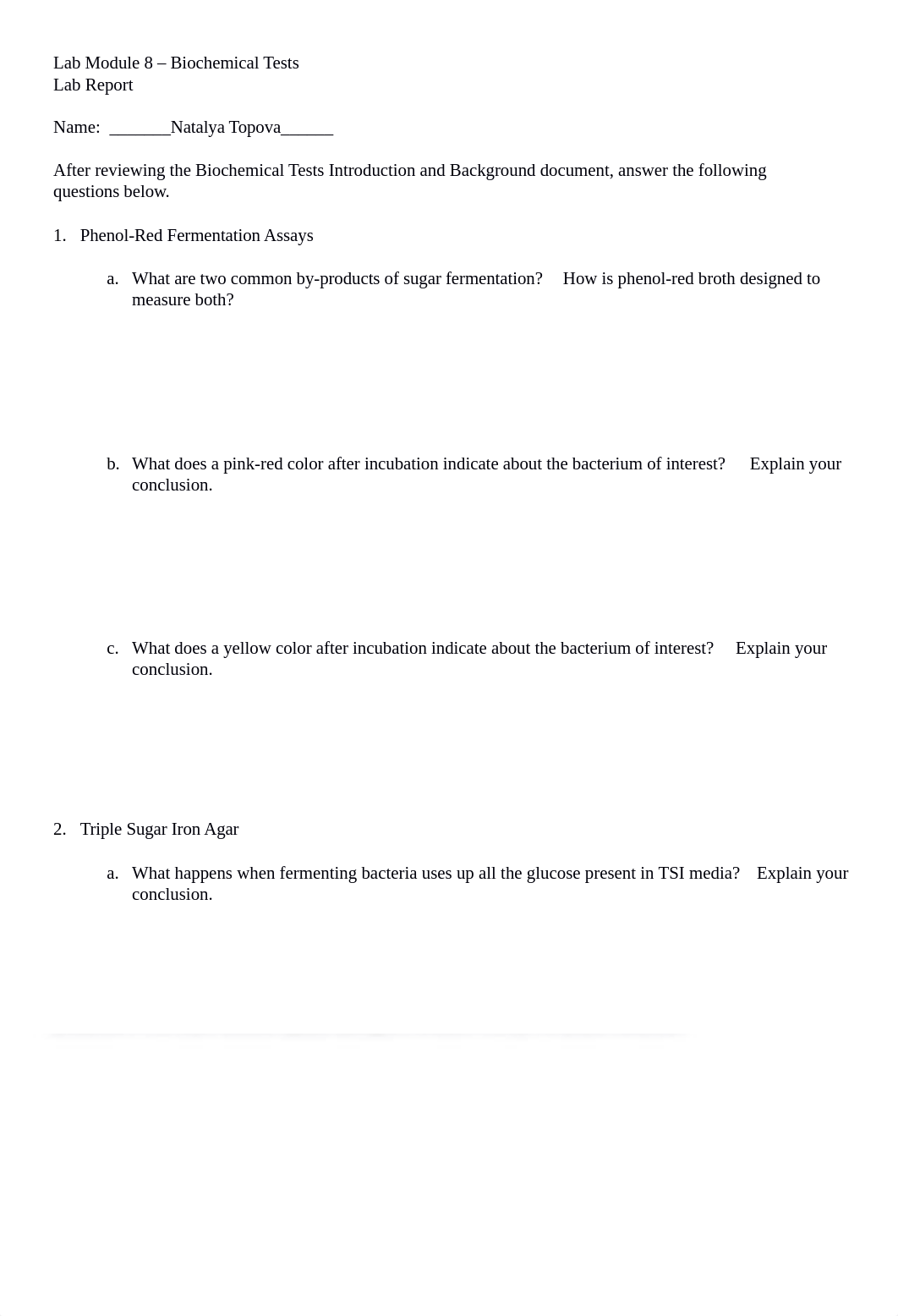 Lab Module 8 -- Biochemical Assays Lab Report (1).docx_dpoz7ucbqnm_page1