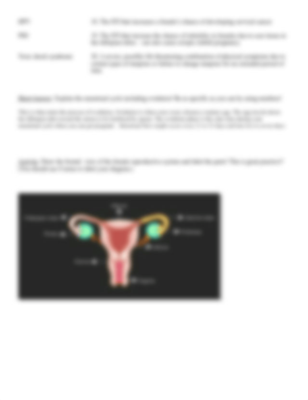 Female_Reproductive_System_Worksheet.doc_dpp4b32e6ti_page2