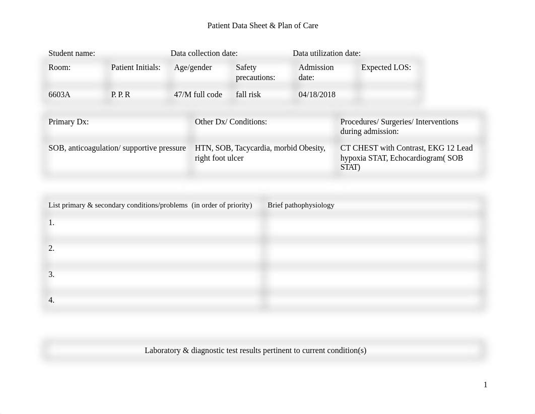 Copy of Blank Patient Data Sheet  Plan of Care Template-2.docx_dppczdwtx24_page1