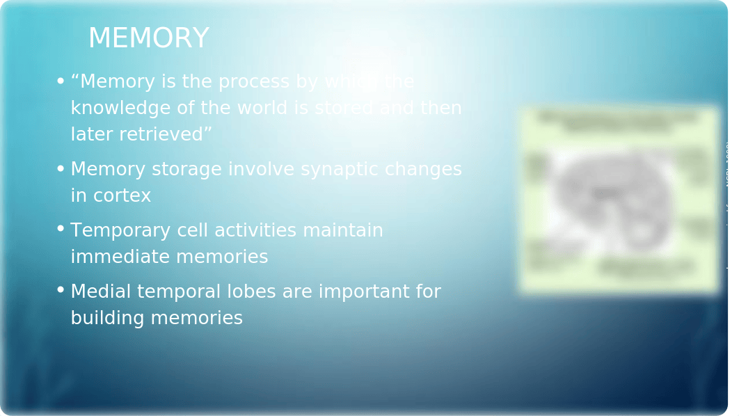 Learning_And_Memory_Powerpoint_Week_5_Team_dppdrdf21ca_page2