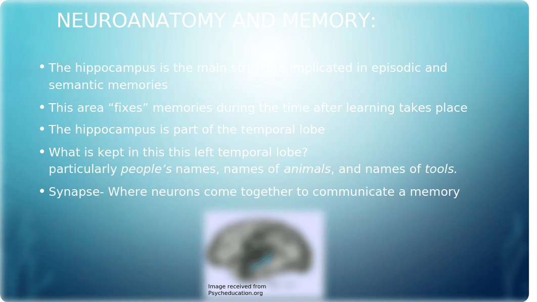 Learning_And_Memory_Powerpoint_Week_5_Team_dppdrdf21ca_page3